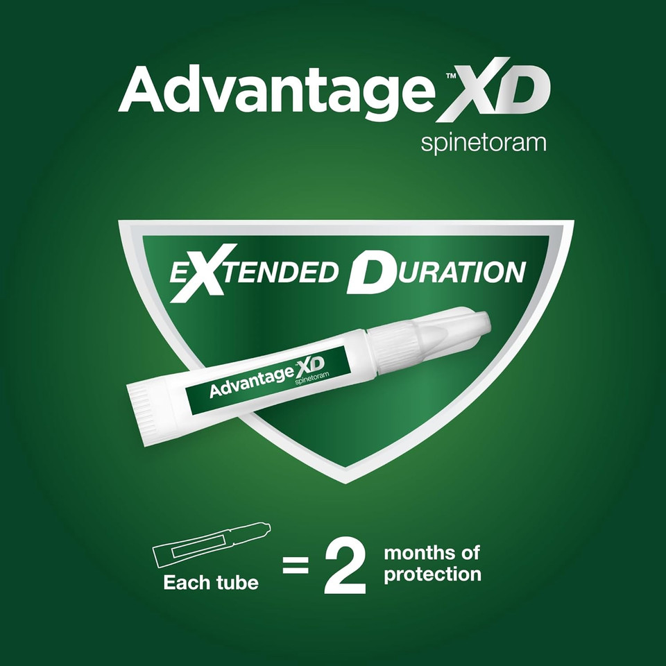 Advantage Xd Large Cat Flea Prevention & Treatment For Cats Over 9Lbs. | 1-Topical Dose, 2-Months Of Protection Per Dose