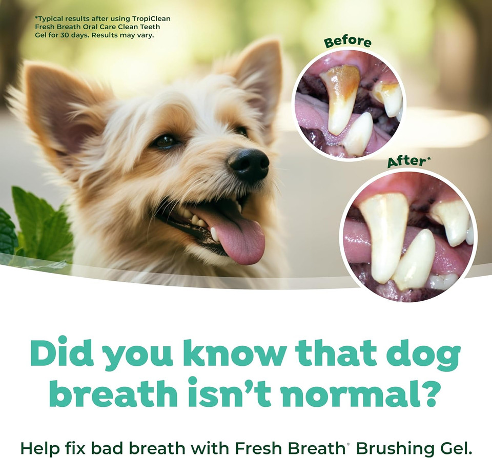 Fresh Breath By Tropiclean Brushing Dental & Oral Care Gel For Dogs & Cats | Made In Usa | Removes Plaque & Tartar | 2 Oz