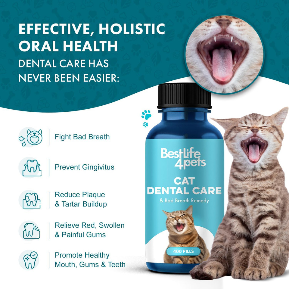 Bestlife4Pets Cat Dental Care & Bad Breath Remedy - Natural Oral Health For Cats Gums, Gingivitis And Tooth Pain, Daily Pet Breath Freshener, Tartar And Plaque Remover Treat, Easy To Use Cat Oral Care