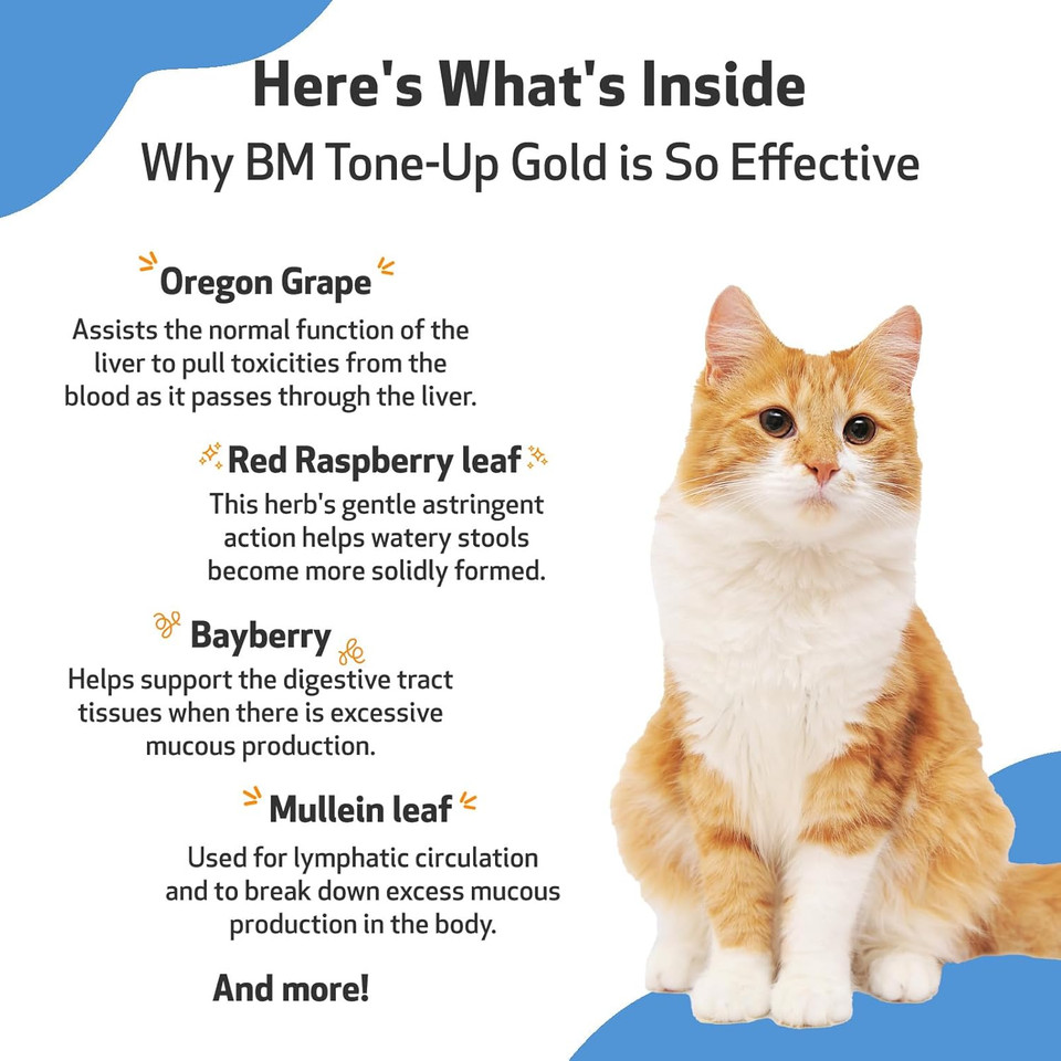 Pet Wellbeing Bm Tone-Up Gold For Cats - Vet-Formulated - Diarrhea & Loose Or Runny Stools - Natural Herbal Supplement 2 Oz (59 Ml)
