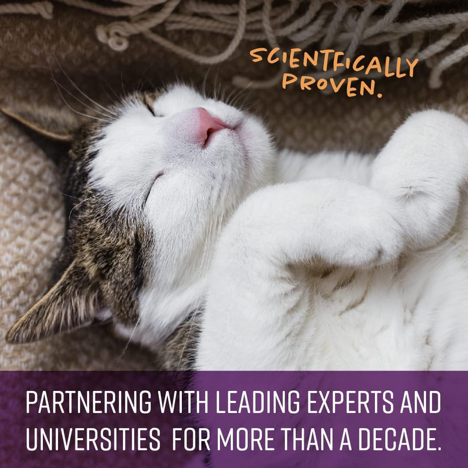 Sentry Calming Chews For Cats, Calming Aid Helps To Manage Stress & Anxiety, With Pheromones That May Help Curb Destructive Behavior & Separation Anxiety, Calming Health Supplement For Cats, 4 Oz