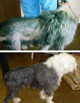 Davis Theracoat For Pets