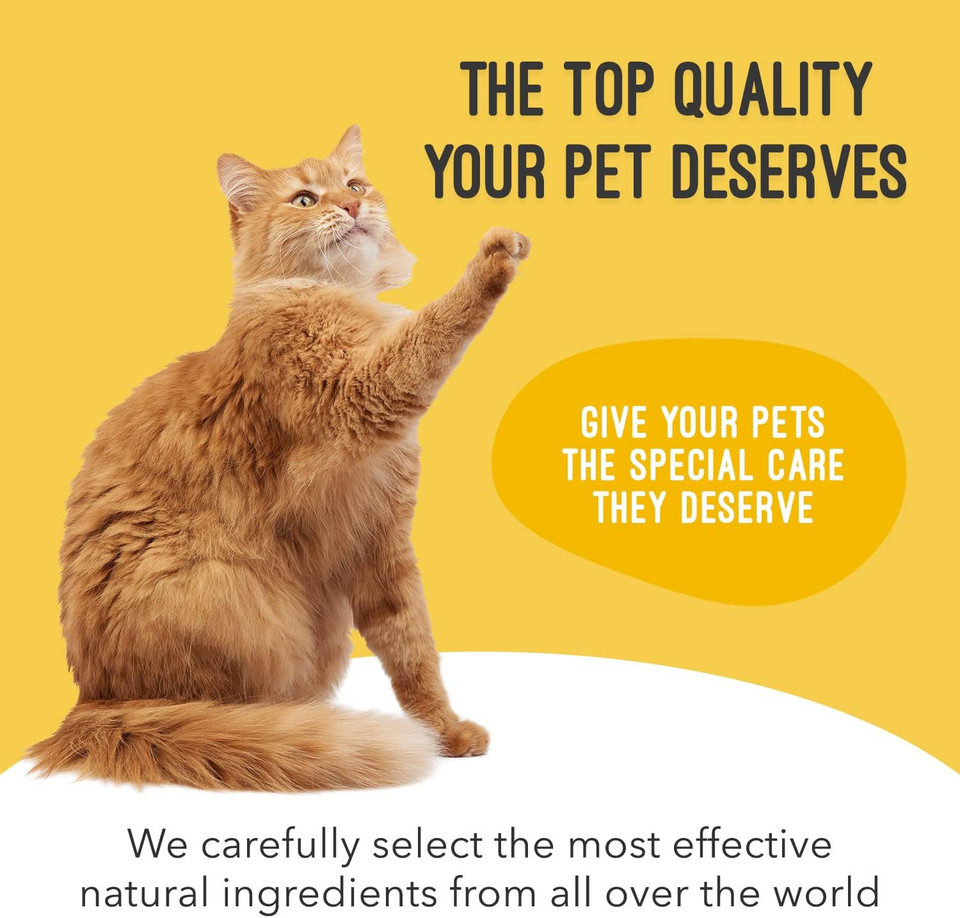 Cat & Dog Urinary Tract Treatment, Bladder & Kidney Support For Dogs And Cats, Powerful Yet Gentle Pet Care, With Liquid Cranberry & Glucosamine, Chicken Flavor, 6 Oz Bottle, 1 Pack