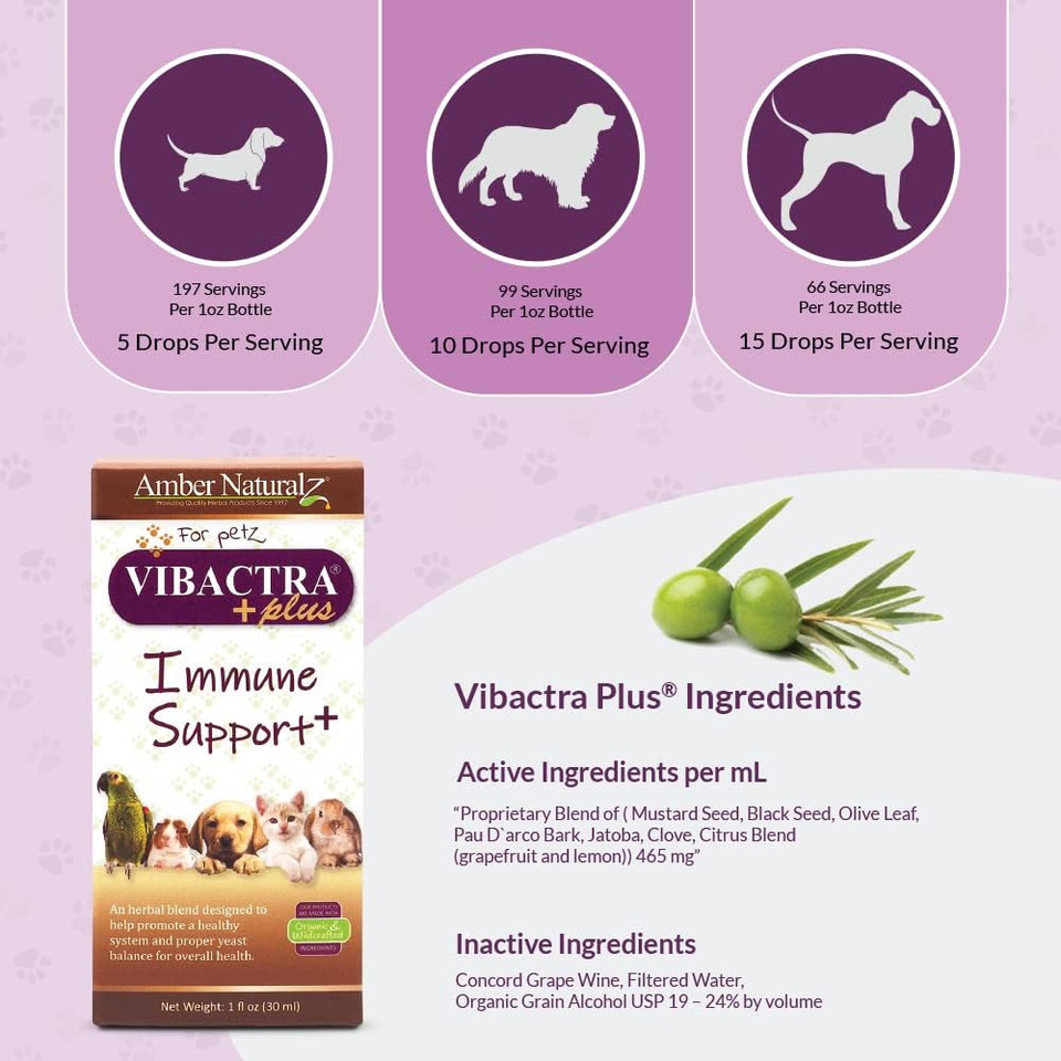 Amber Naturalz Vibactra Plus Herbal Supplement For Dogs, Cats, Birds, Guinea Pigs, And Rabbits | Herbs For Immune Health And Yeast Balance | 1 Fluid Ounce Glass Bottle | Manufactured In The Usa