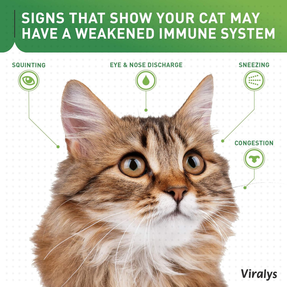 Vetoquinol Viralys L-Lysine Supplement For Cats - Cats & Kittens Of All Ages - Immune Health - Sneezing, Runny Nose, Squinting, Watery Eyes - Flavored Lysine Powder