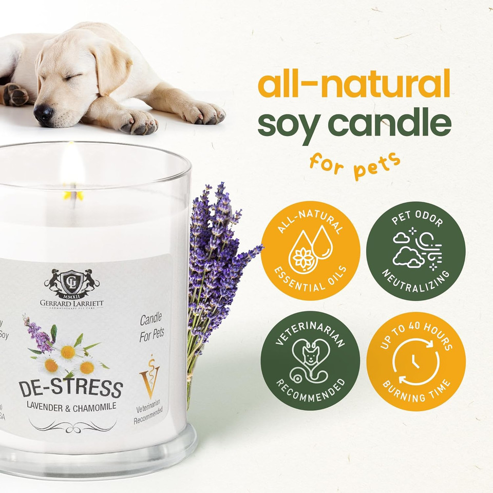 Lavender & Chamomile Aromatherapy Deodorizing Soy Candle For Pets, Pet Odor Eliminator & Animal Lover Gift - 6 OZ (170 g)