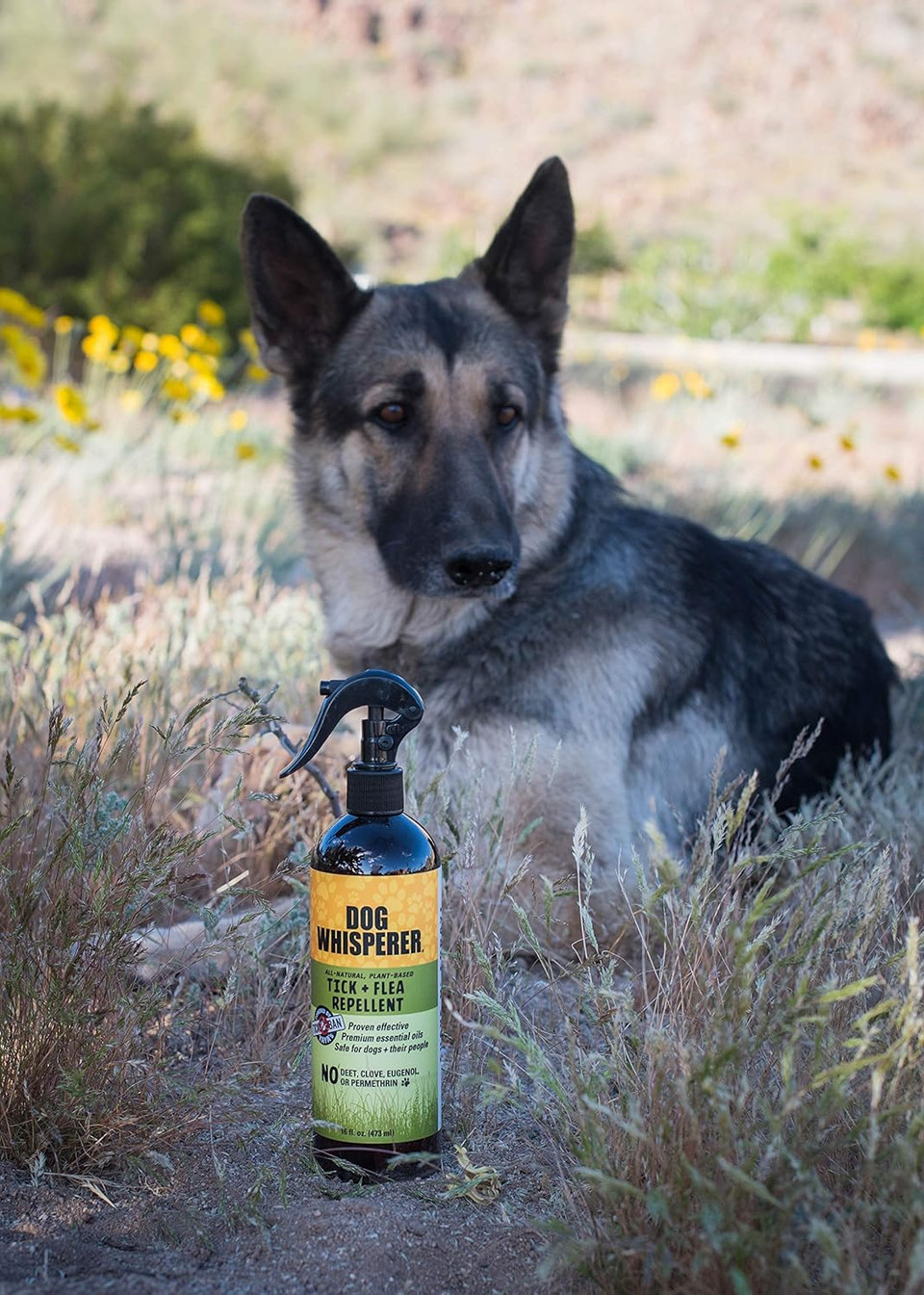 Dog Whisperer Tick + Flea Repellent, All-Natural, Extra Strength, Effective on Dogs and Their People (16 Ounce Spray)