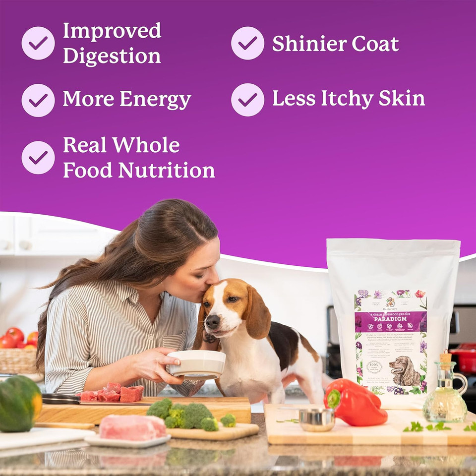 Dr. Harvey'S Paradigm Green Superfood Dog Food, Human Grade Dehydrated Grain Free Base Mix For Dogs, Diabetic Low Carb Ketogenic Diet (6 Pounds)