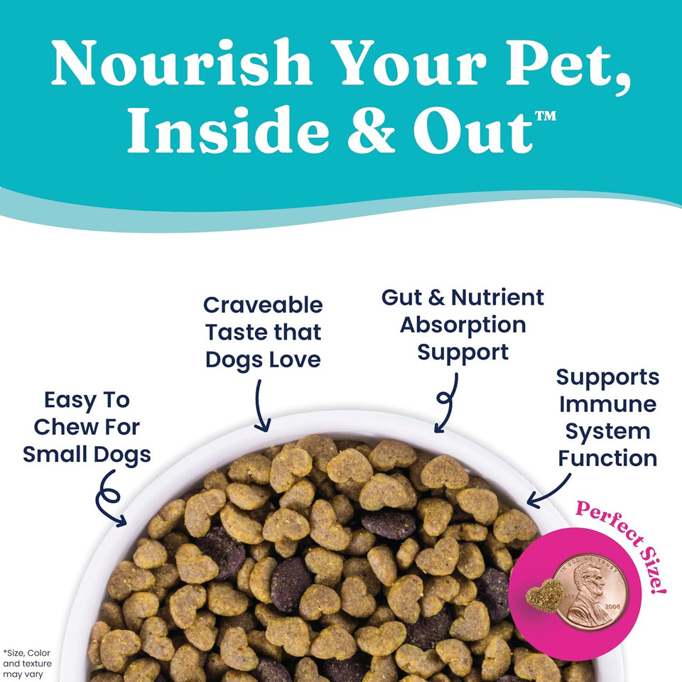 Solid Gold Nutrientboost Mighty Mini Small Breed Dog Food - Dry Dog Food Made With Real Chicken For Any Toy Breed - Grain & Gluten Free Recipe For Gut Health & Sensitive Stomach Support - 11 Lb Bag