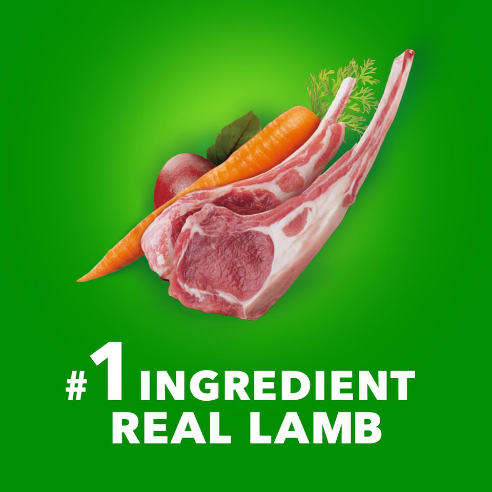 Iams Proactive Health Large Breed Adult Dry Dog Food Lamb & Rice Recipe, 15 Lb. Bag