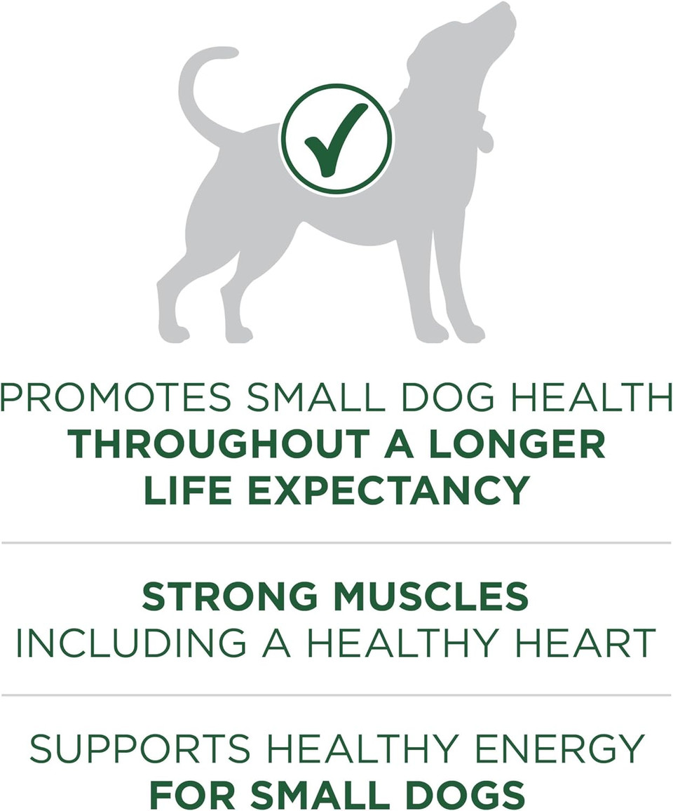 Purina One Plus Small Breed Lamb And Rice Formula Dry Dog Food - 15 Lb. Bag