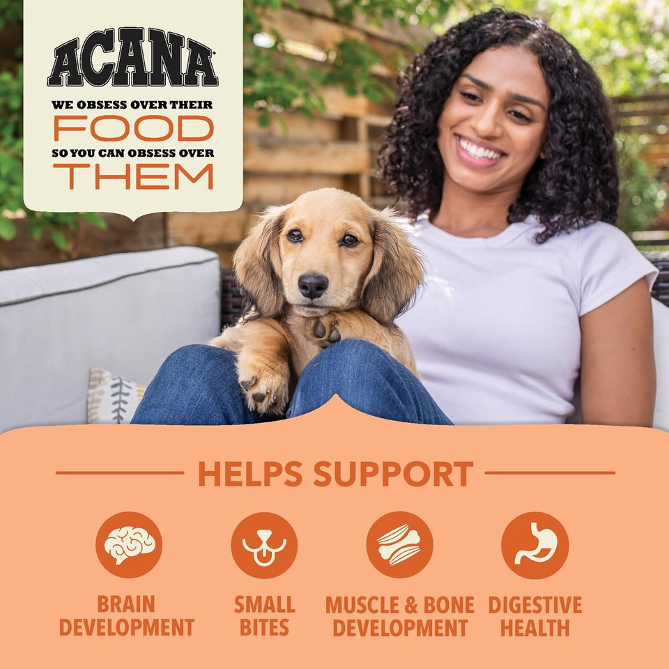 Acana Wholesome Grains Dry Dog Food, Puppy Recipe, Real Chicken, Eggs And Turkey Dog Food Recipe, 22.5Lb