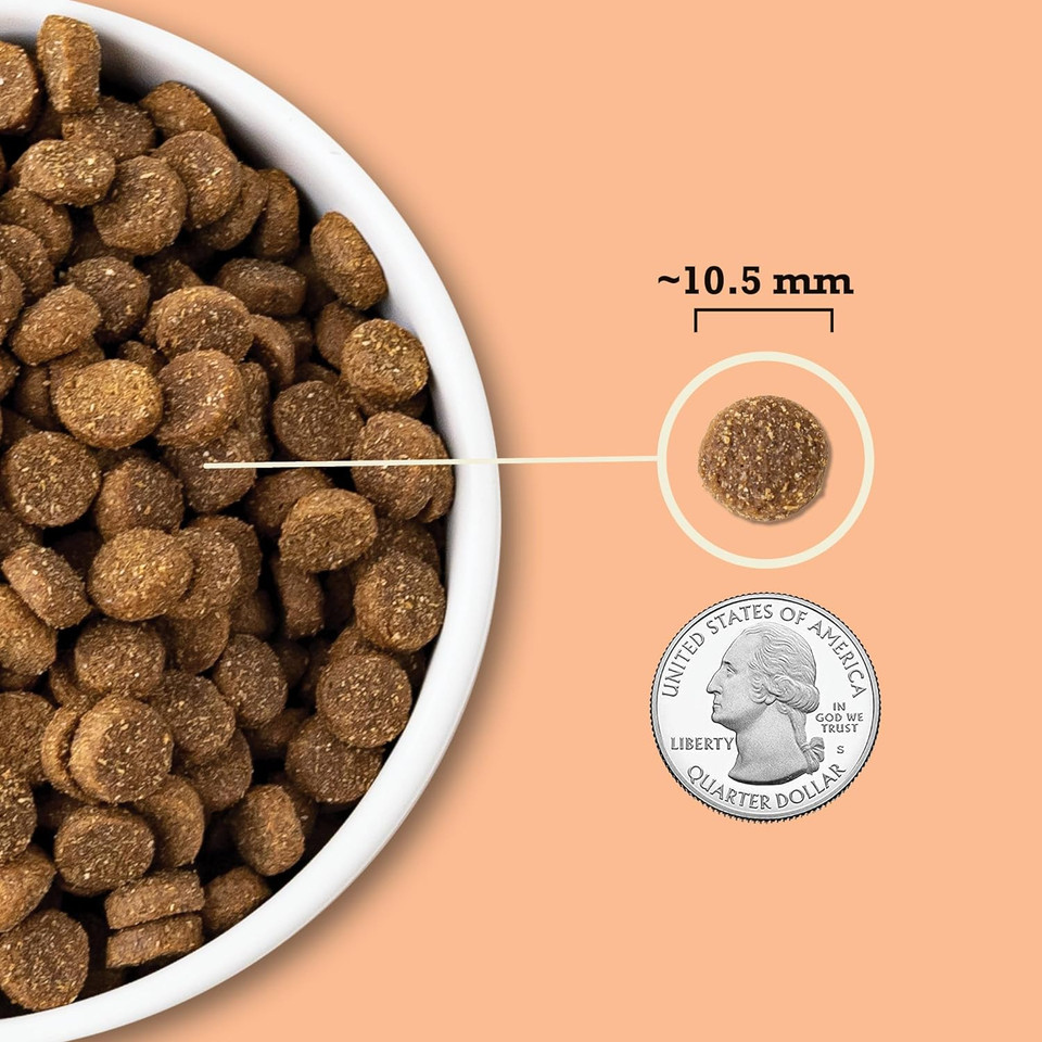 Acana Wholesome Grains Dry Dog Food, Puppy Recipe, Real Chicken, Eggs And Turkey Dog Food Recipe, 22.5Lb