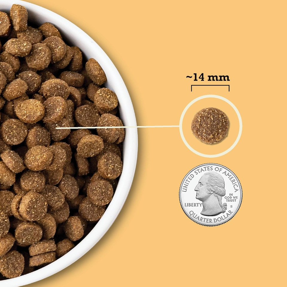 Acana Wholesome Grains Dry Dog Food, Free-Run Poultry, Real Chicken & Turkey And Eggs Dog Food Recipe, 22.5Lb Acana Wholesome Grains Dry Dog Food, Free-Run Poultry, Real Chicken & Turkey And Eggs Dog Food Recipe, 22.5Lb