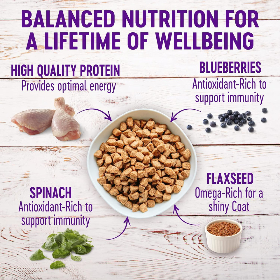 Wellness Complete Health Senior Dry Dog Food With Grains, Natural Ingredients, Made In Usa With Real Meat, All Breeds (Chicken & Barley, 30-Pound Bag)