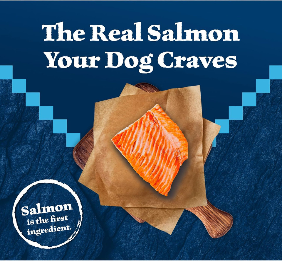Blue Buffalo Wilderness Natural High-Protein Dry Food For Adult Dogs, Salmon Recipe, 4.5-Lb. Bag
