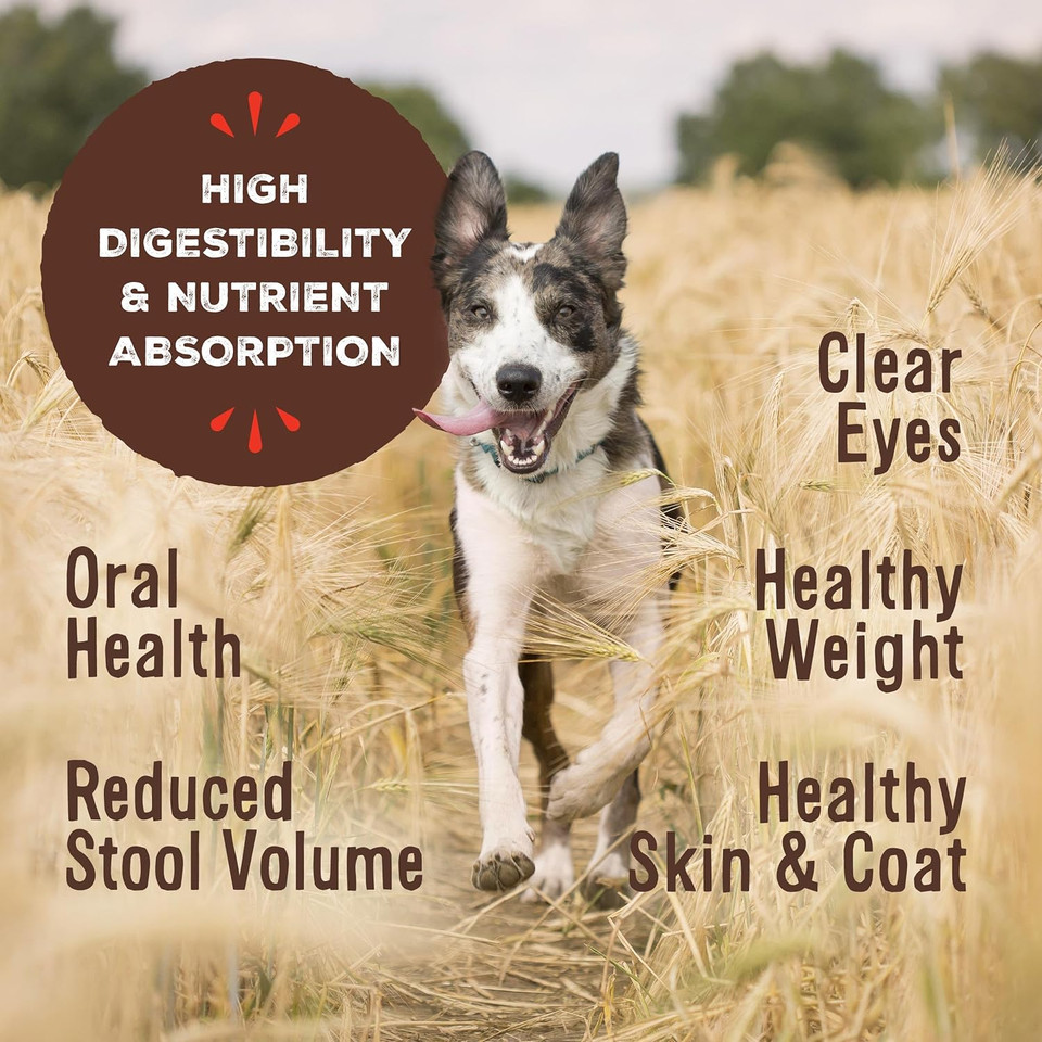 Primal Freeze Dried Dog Food Nuggets, Lamb; Complete & Balanced Meal; Also Use As Topper Or Treat; Premium, Healthy, Grain Free, High Protein Raw Dog Food, 14 Oz Primal Freeze Dried Dog Food Nuggets, Lamb; Complete & Balanced Meal; Also Use As Topper Or Treat; Premium, Healthy, Grain Free, High Protein Raw Dog Food, 14 Oz
