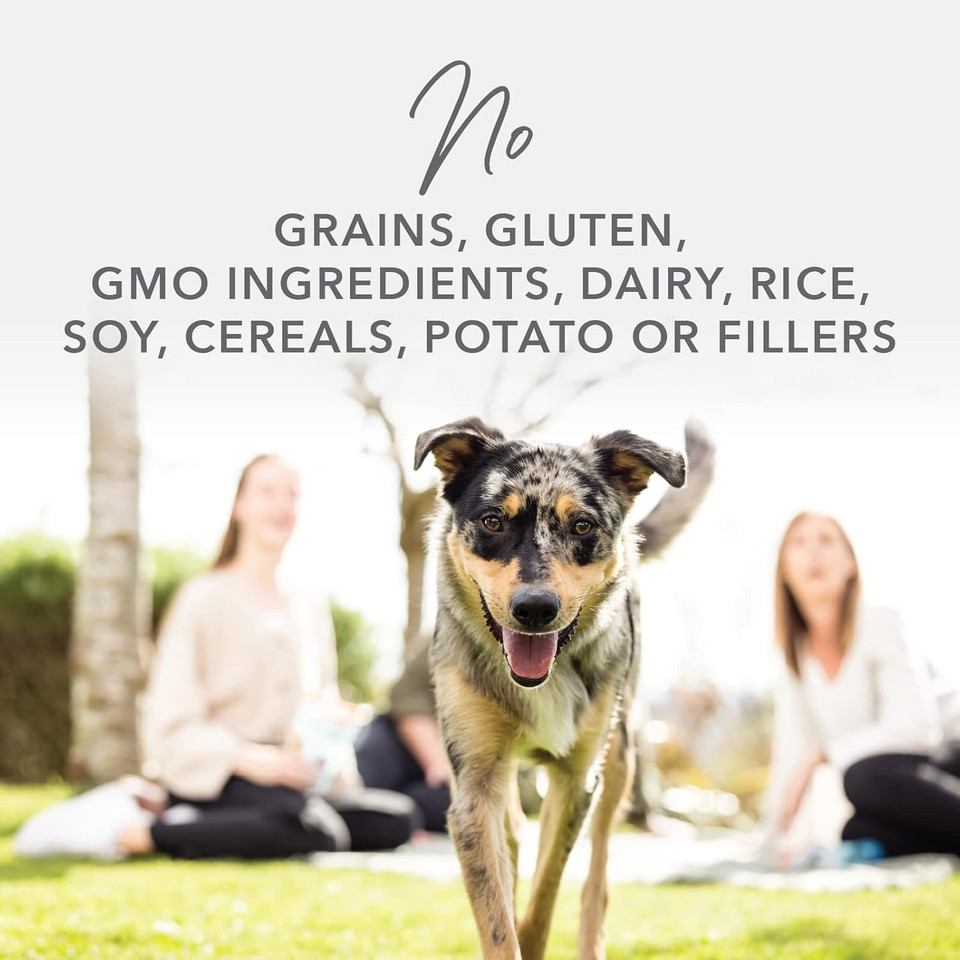 K9 Natural Grain-Free Freeze-Dried Dog Food Topper Chicken 3.5Oz