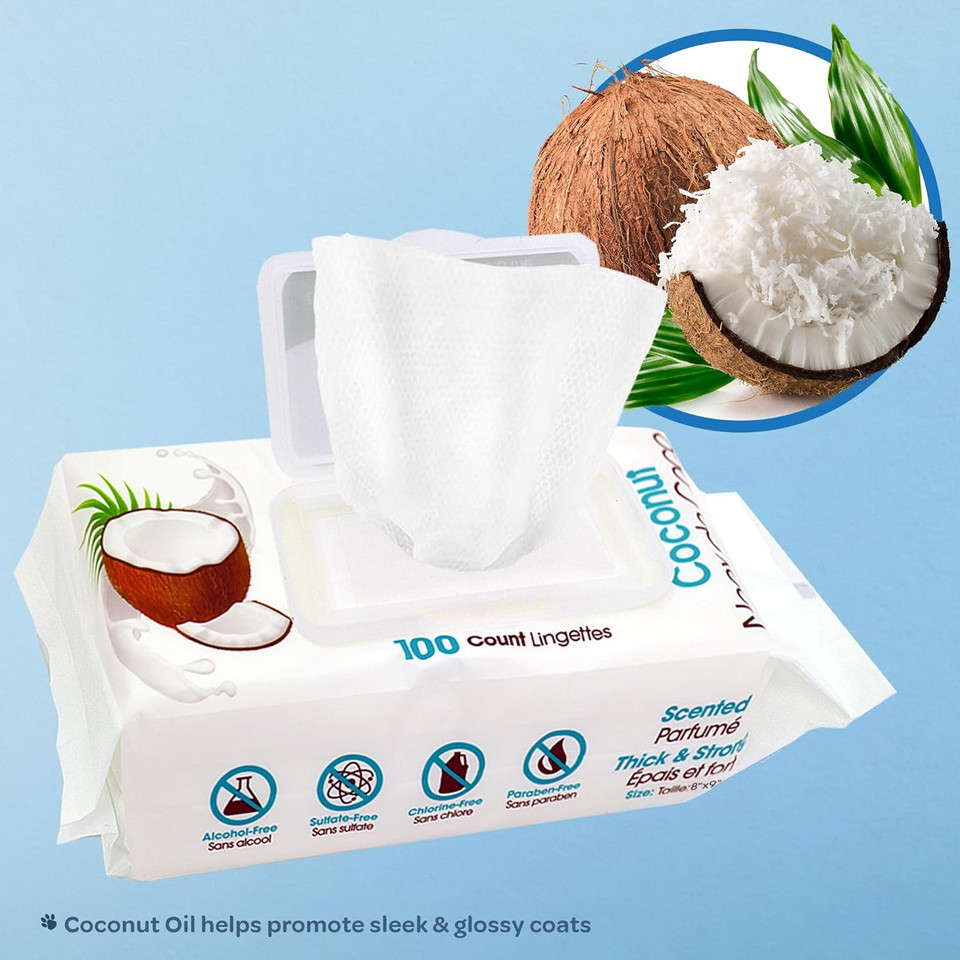 Best Pet Supplies 8" X 9" Pet Grooming Wipes For Dogs & Cats, 100 Pack, Plant-Based Deodorizer For Coats & Dry, Itchy, Or Sensitive Skin, Clean Ears, Paws, & Butt - Moisturizing Coconut