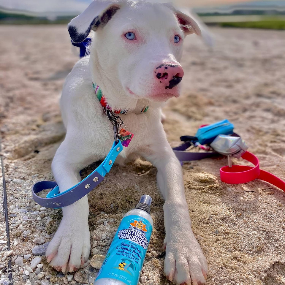 Bodhi Dog Sunscreen | Large 8Oz Spf 30+ Moisturizing Pet Sunscreen | Safe For All Breeds Of Dogs, Cats And Horses | Natural Skin Protection And Conditioner For Skin, Coat, Nose, And Ears | Usa Made