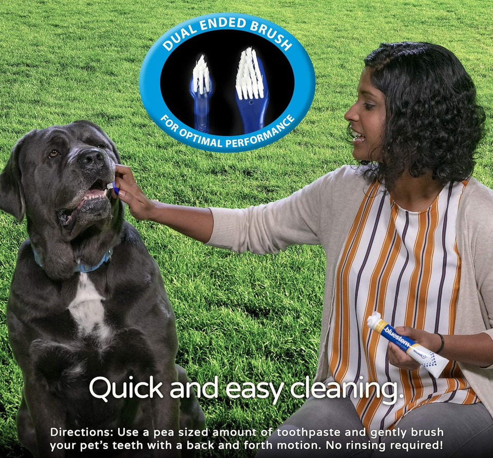 Dog Toothbrush And Toothpaste : Chicken Flavor Tooth Paste With Tooth Brush For Dogs & Cats. Teeth Brushing Cleaner Pet Breath Freshener Oral Care Dental Cleaning Kit. Tartar & Plaque Remover Brushes