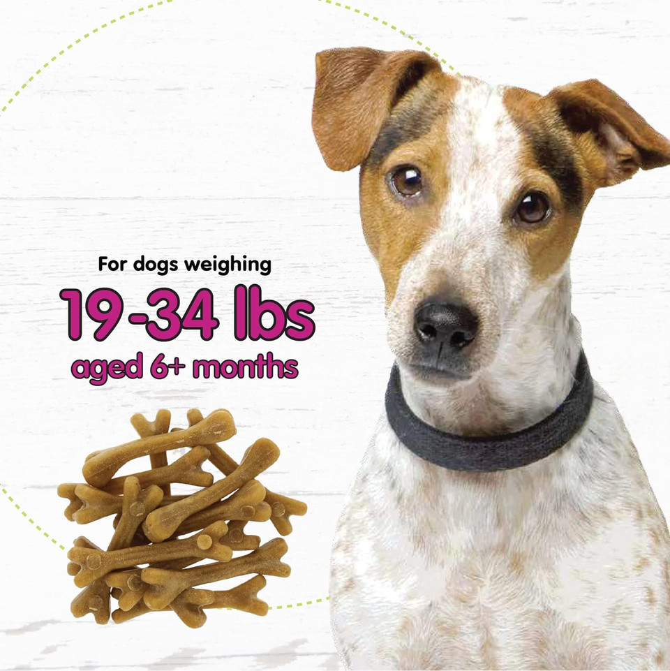 Belly Bones For Dogs, Yogurt Flavored Small Dog Dental Treats - 13 Treats Per Pack (3 Pack) - Made In Usa, Plaque & Tartar Control, For Fresh Breath And Digestive Health Support