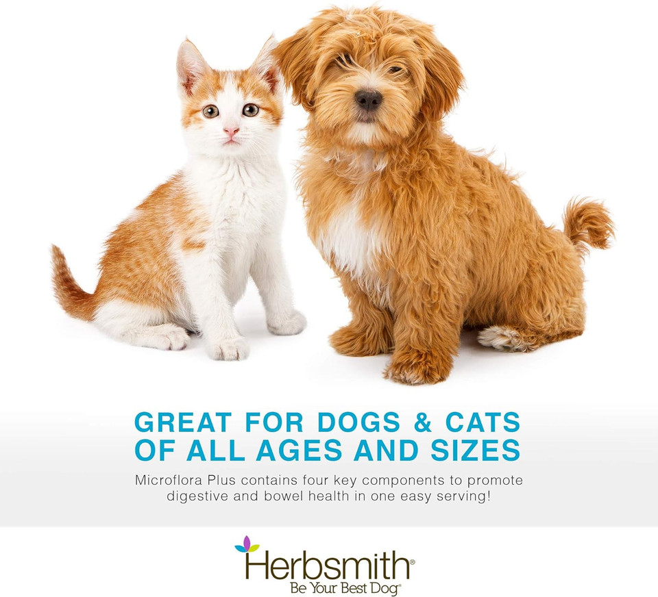 Herbsmith Microflora Plus  Dog Digestion Aid Probiotics And Digestive Enzymes For Dogs  Prebiotic For Dogs  60 Capsules