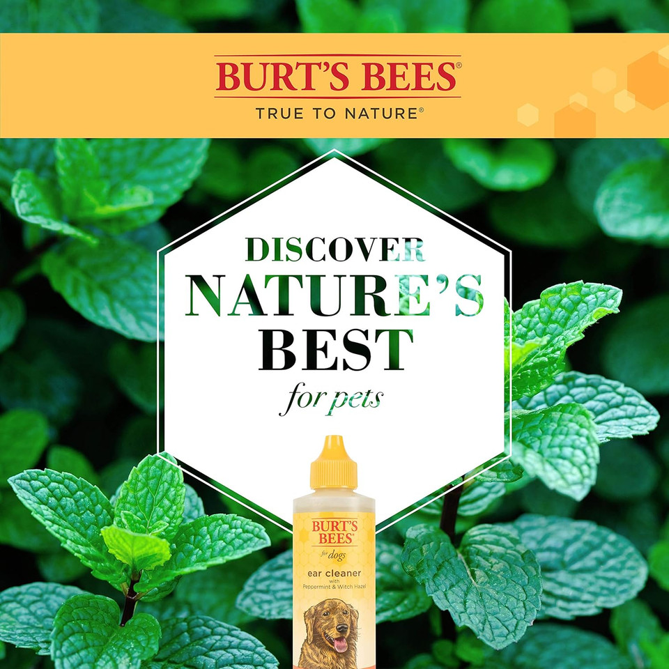 Burt'S Bees For Pets Natural Ear Cleaner With Peppermint And Witch Hazel | Effective & Gentle Dog Ear Cleaning Solution For All Dogs And Puppies | Made In Usa, 4 Oz