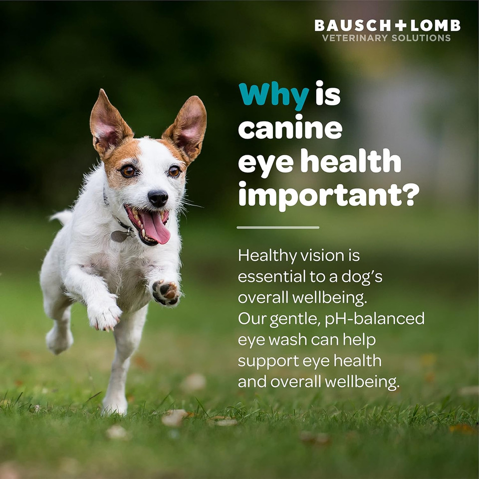 Project Watson Bausch + Lomb Eye Wash For Dogs, Help Remove Tear Stains & Support Eye Health, Gentle Ph Balanced Formula To Help Reduce Risk Of Infection, Fragrance Free, 4 Fl Oz