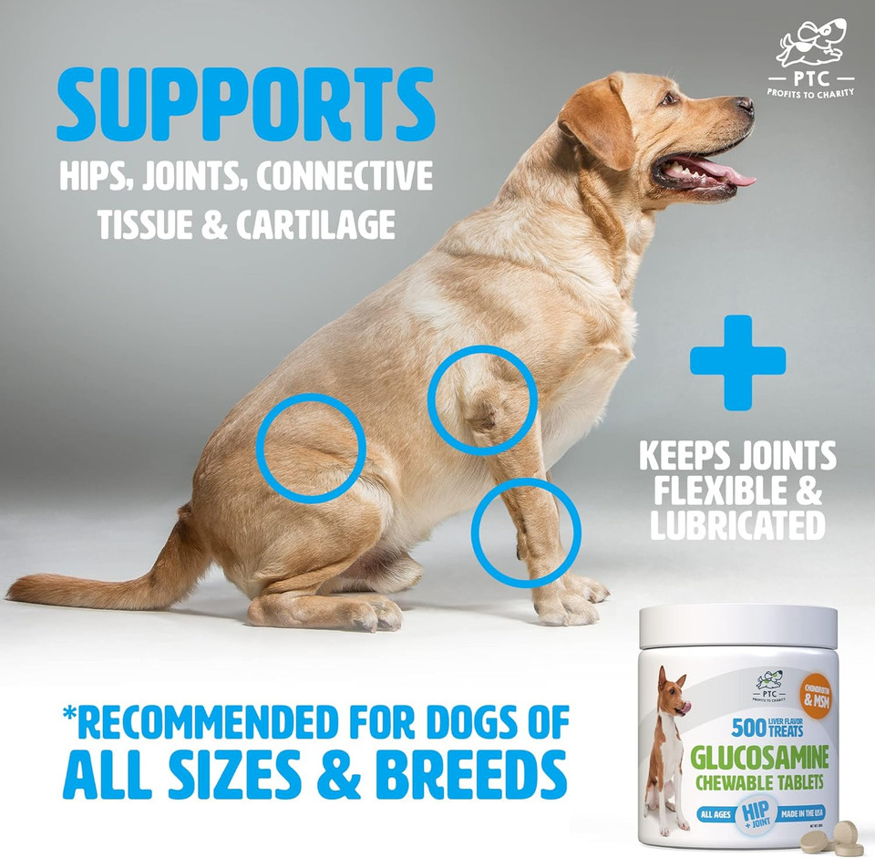 Glucosamine For Dogs With Chondroitin And Msm - Hip And Joint Supplement For Dog Mobility Support And Arthritis Pain Relief - 500 Chewable Tablet Treats By Ptc - Profits To Charity