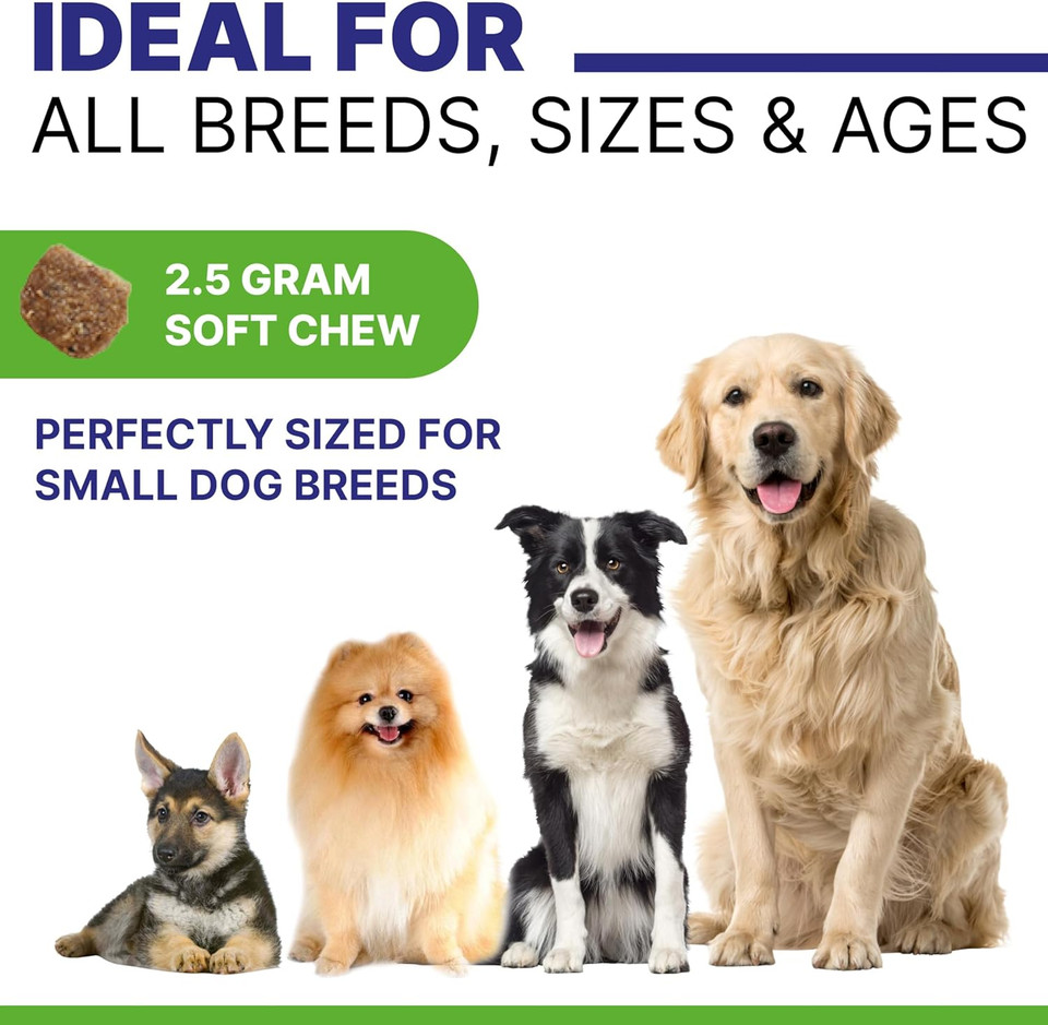 Advanced Hemp Chews For Dogs Hip Joint Pain Relief - Glucosamine For Dogs Hip And Joint Supplement Large Breed - Hemp Treats Joint Health Senior Dog - Chondroitin Hemp Oil Pills - Peanut Butter-240T