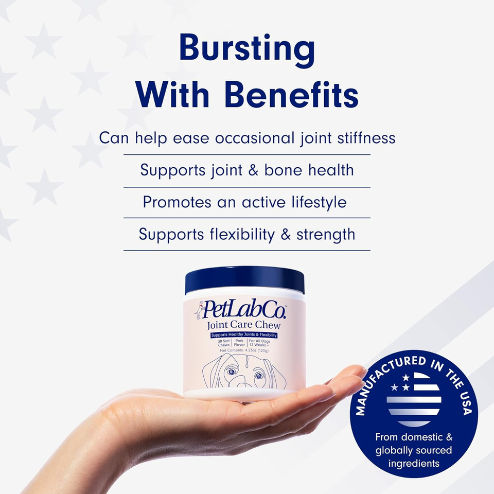 Petlab Co. Joint Care Chews - High Levels Of Glucosamine For Dogs, Green Lipped Mussels, Omega 3 And Turmeric - Dog Hip And Joint Supplement To Actively Support Mobility (Value 2 Pack)