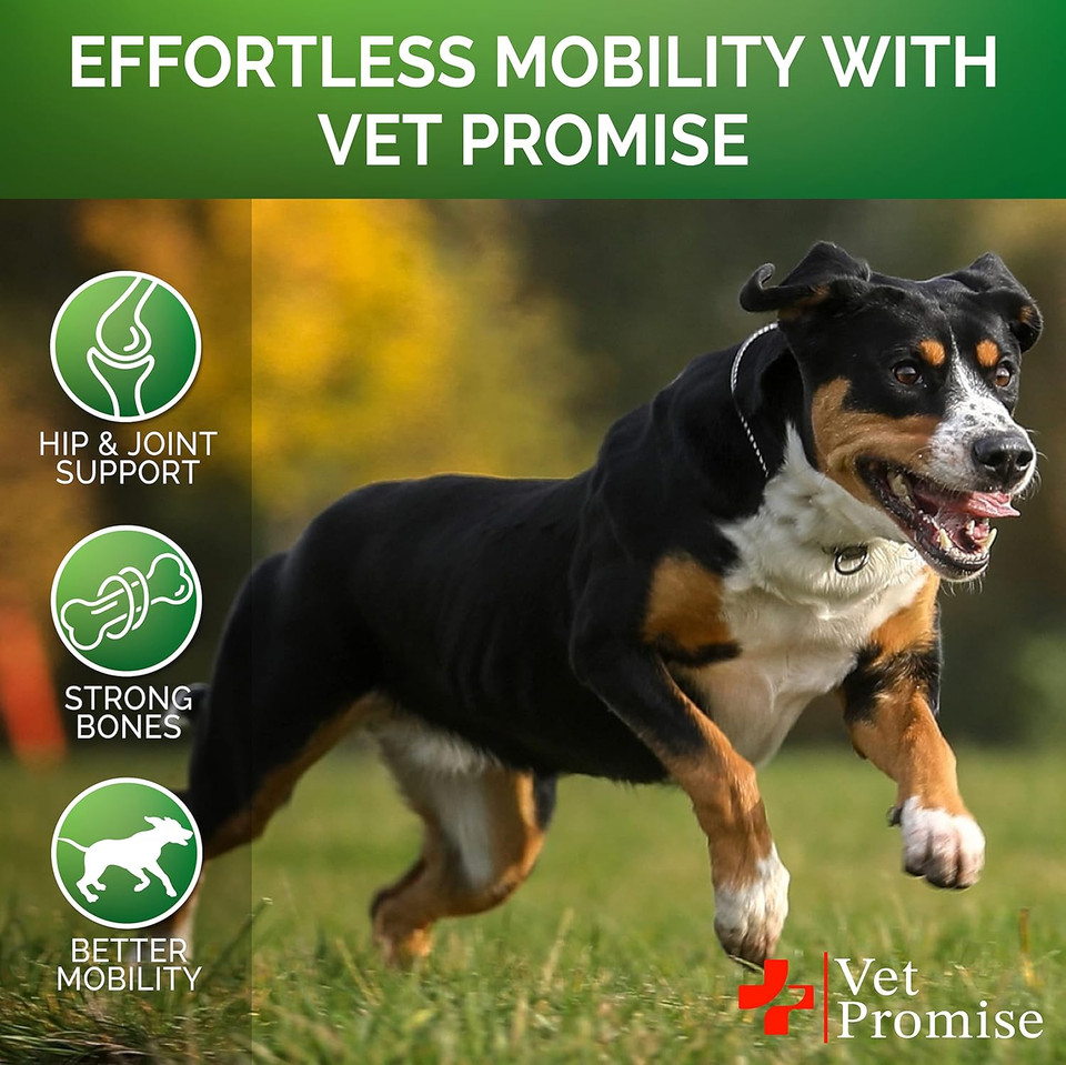 Vet Promise Glucosamine For Dogs - Hip And Joint Supplement For Dogs - Glucosamine Chondroitin For Dogs - Dog Joint Pain Relief - Msm - Advanced Support - 115 Mobility Chews