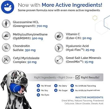 Glycanaid-Ha Advanced Joint Supplement For Dogs (60 Chewable Tablets) - Made In Usa With Usa Ingredients - Contains Glucosamine Hcl, Chondroitin Sulfate, Hyaluronic Acid, Msm, Cetyl-M