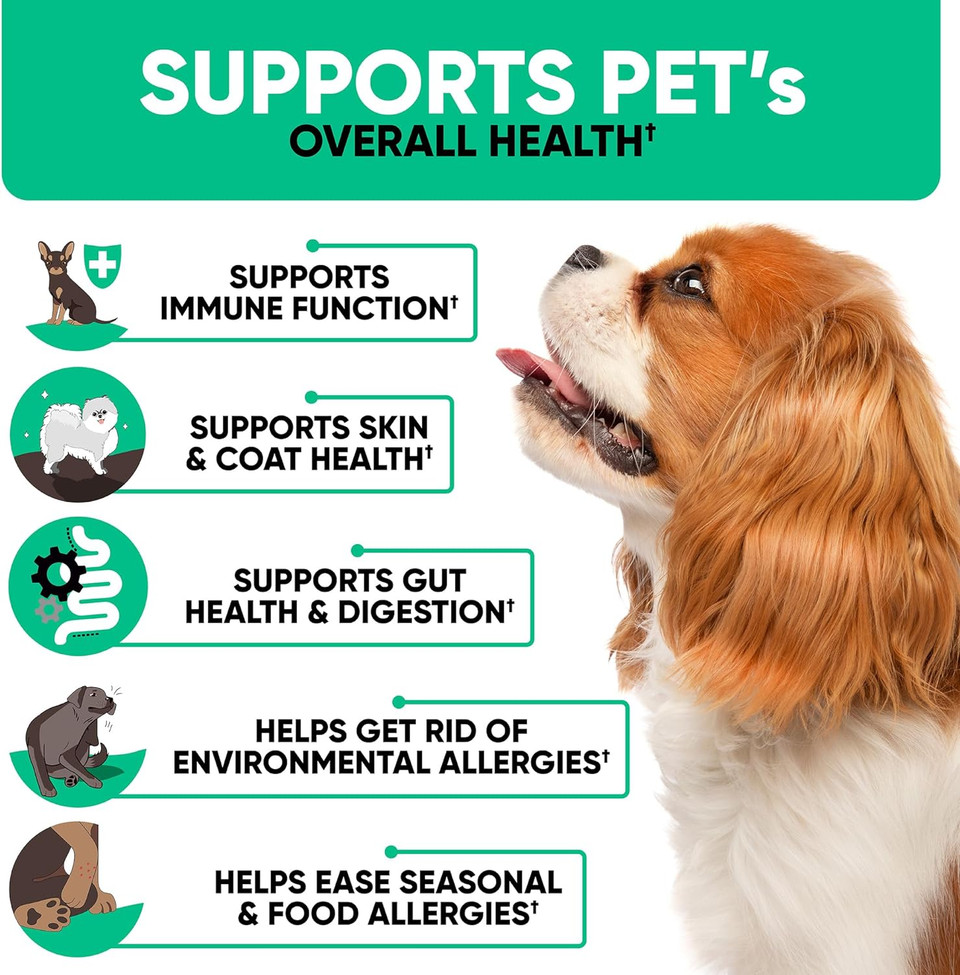 Natural Dog Allergy Chews With Omega, Probiotics, Apple Cider Vinegar - Dog Allergy Relief Supplement - Helps With Hot Spots, Itchy Skin, Seasonal And Food Dog Allergies - 180 Allergy Chews For Dogs