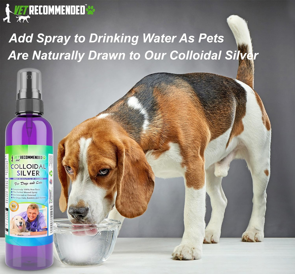Colloidal Silver For Dogs And Cats, Colloidal Silver Spray That Works As Natural Hot Spot Solution For Dogs - Made In Usa (8Oz/240Ml)