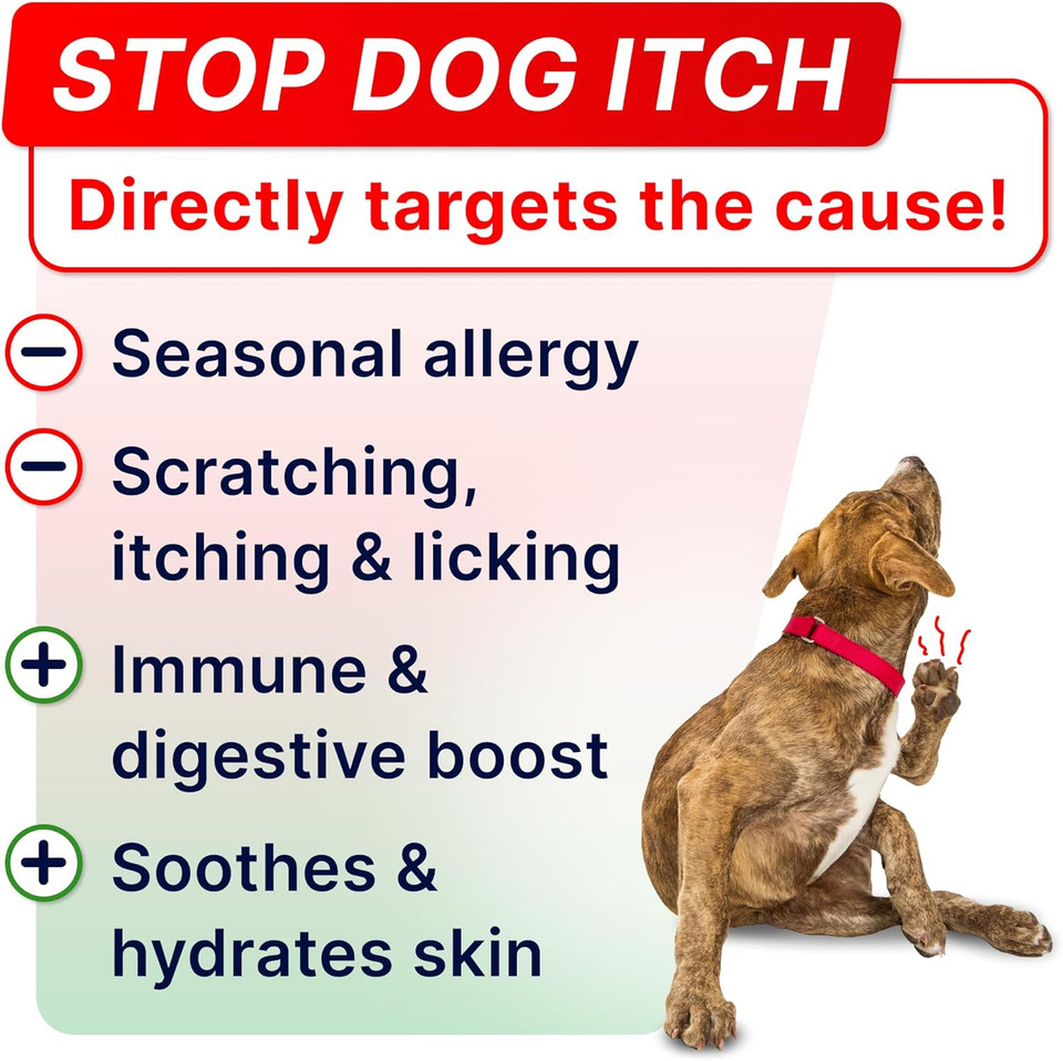 Strellalab Advanced Allergy & Itch Relief Dog Chews With Fish Oil Omega 3 & Probiotics - Itchy Skin Relief - Immune Supplement - Skin&Coat Health - Anti-Itch&Hot Spots - Made In Usa - Bacon Treats