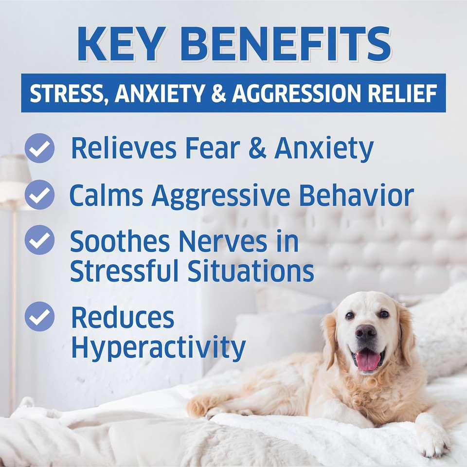 Calming Chews For Dogs - Dog Calming Chews - Natural Dog Anxiety Relief Treats - Separation, Stress, Barking, Thunderstorms, Lightning - Dog Anxiety Chews - 120 Calming Dog Treats Calming Chews For Dogs - Dog Calming Chews - Natural Dog Anxiety Relief Treats - Separation, Stress, Barking, Thunderstorms, Lightning - Dog Anxiety Chews - 120 Calming Dog Treats