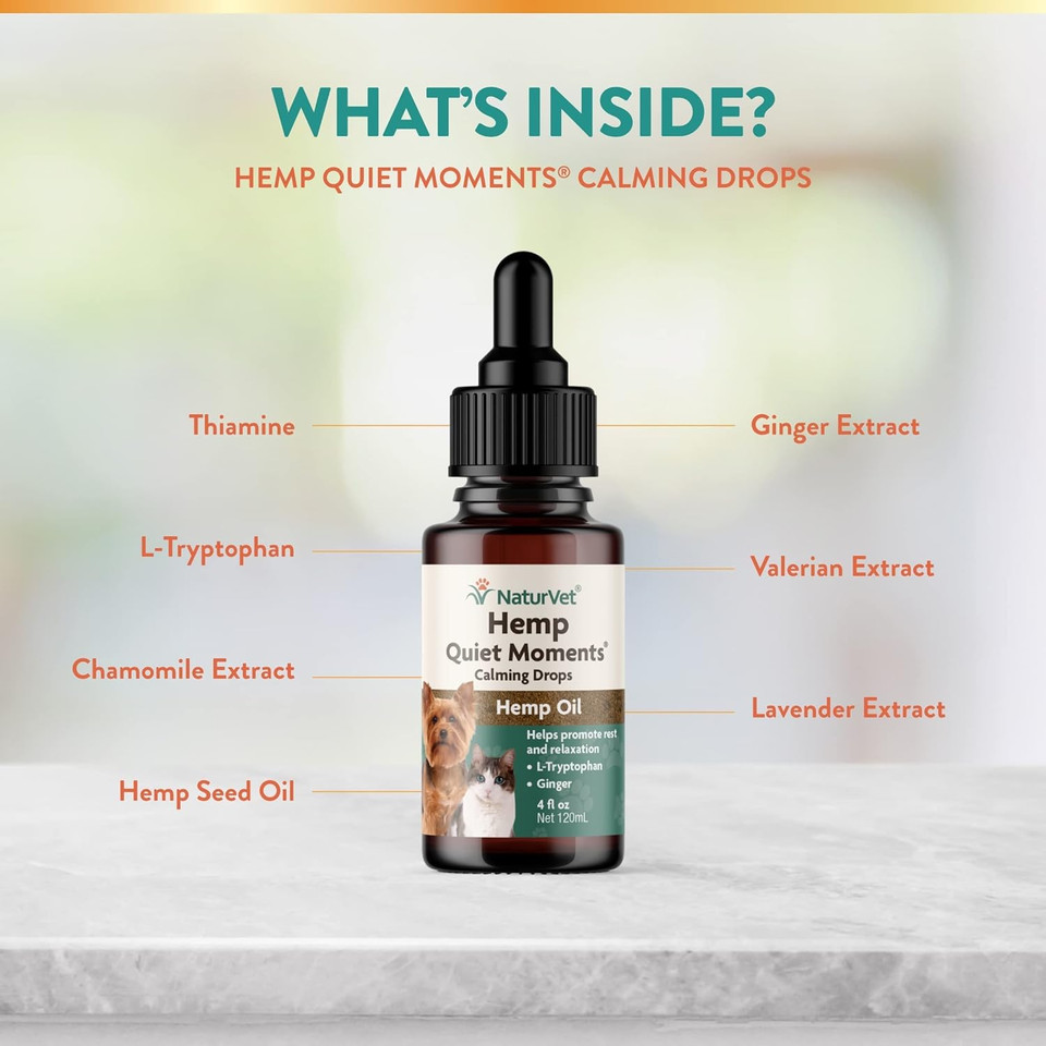Naturvet  Hemp Quiet Moments Calming Drops  Enhanced With Hemp Seed Oil, L-Tryptophan & Ginger  Helps Reduce Stress & Promote Relaxation  For Dogs & Cats