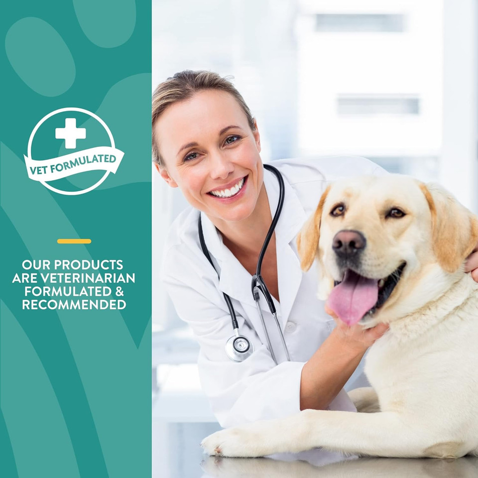 Naturvet  Hemp Quiet Moments Calming Drops  Enhanced With Hemp Seed Oil, L-Tryptophan & Ginger  Helps Reduce Stress & Promote Relaxation  For Dogs & Cats