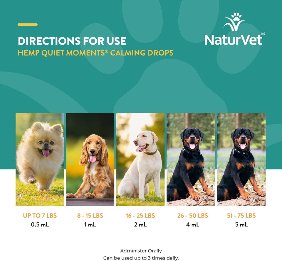 Naturvet  Hemp Quiet Moments Calming Drops  Enhanced With Hemp Seed Oil, L-Tryptophan & Ginger  Helps Reduce Stress & Promote Relaxation  For Dogs & Cats