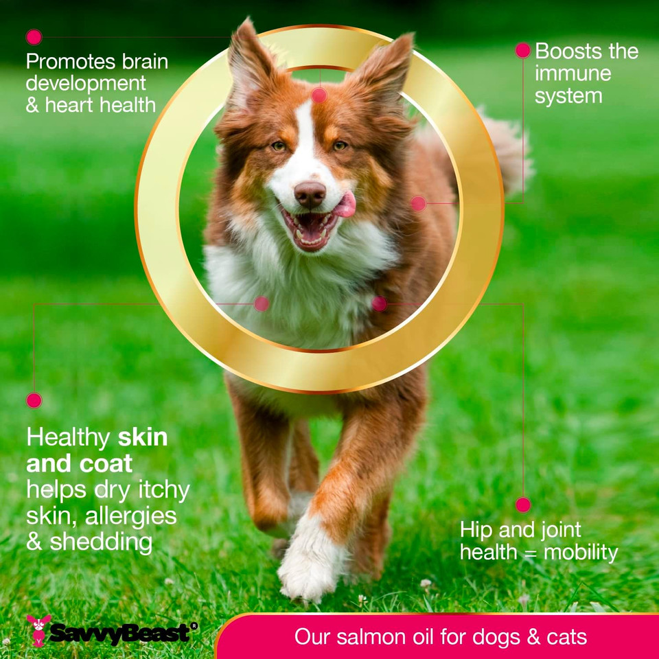 Wild Alaskan Salmon Oil For Dogs, Cats, Ferrets: Unscented Anti-Itch Skin And Coat Supplement With Omega-3 Vitamins - Liquid Fish Allergy Relief Pump On Food - Kitten Supplies & Accessories Stuff