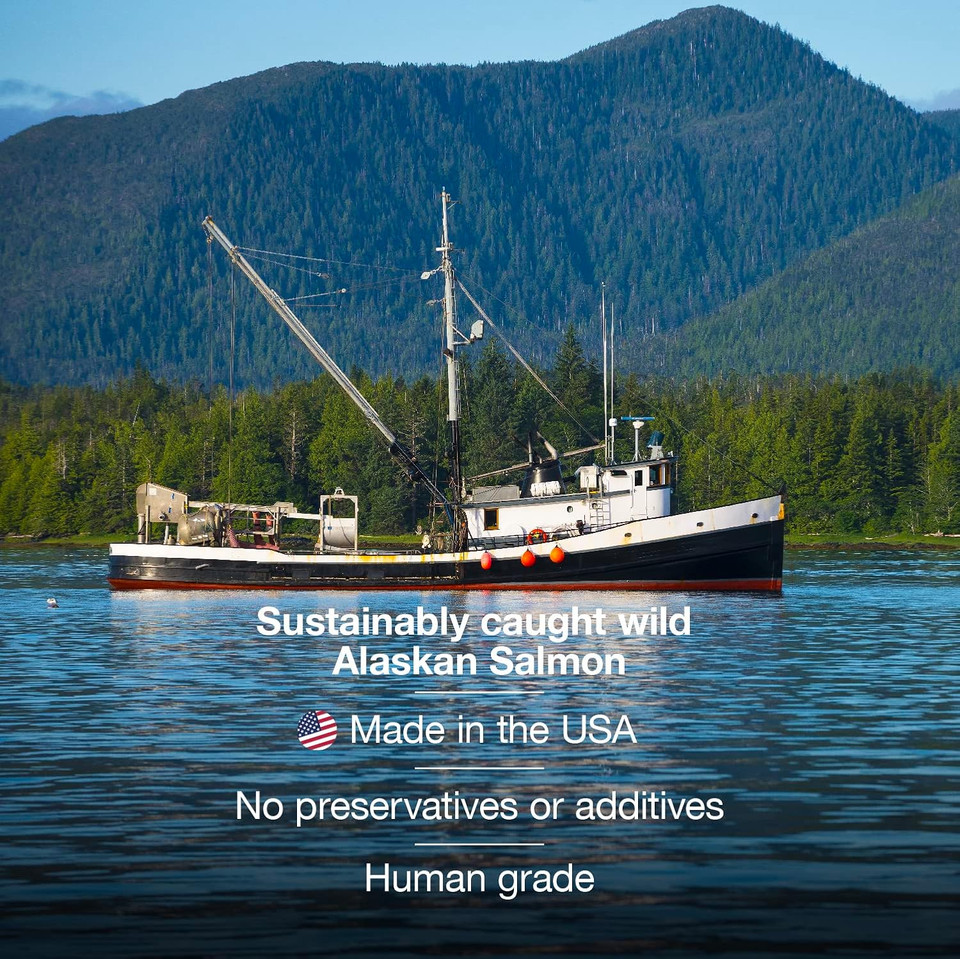 Wild Alaskan Salmon Oil For Dogs, Cats, Ferrets: Unscented Anti-Itch Skin And Coat Supplement With Omega-3 Vitamins - Liquid Fish Allergy Relief Pump On Food - Kitten Supplies & Accessories Stuff