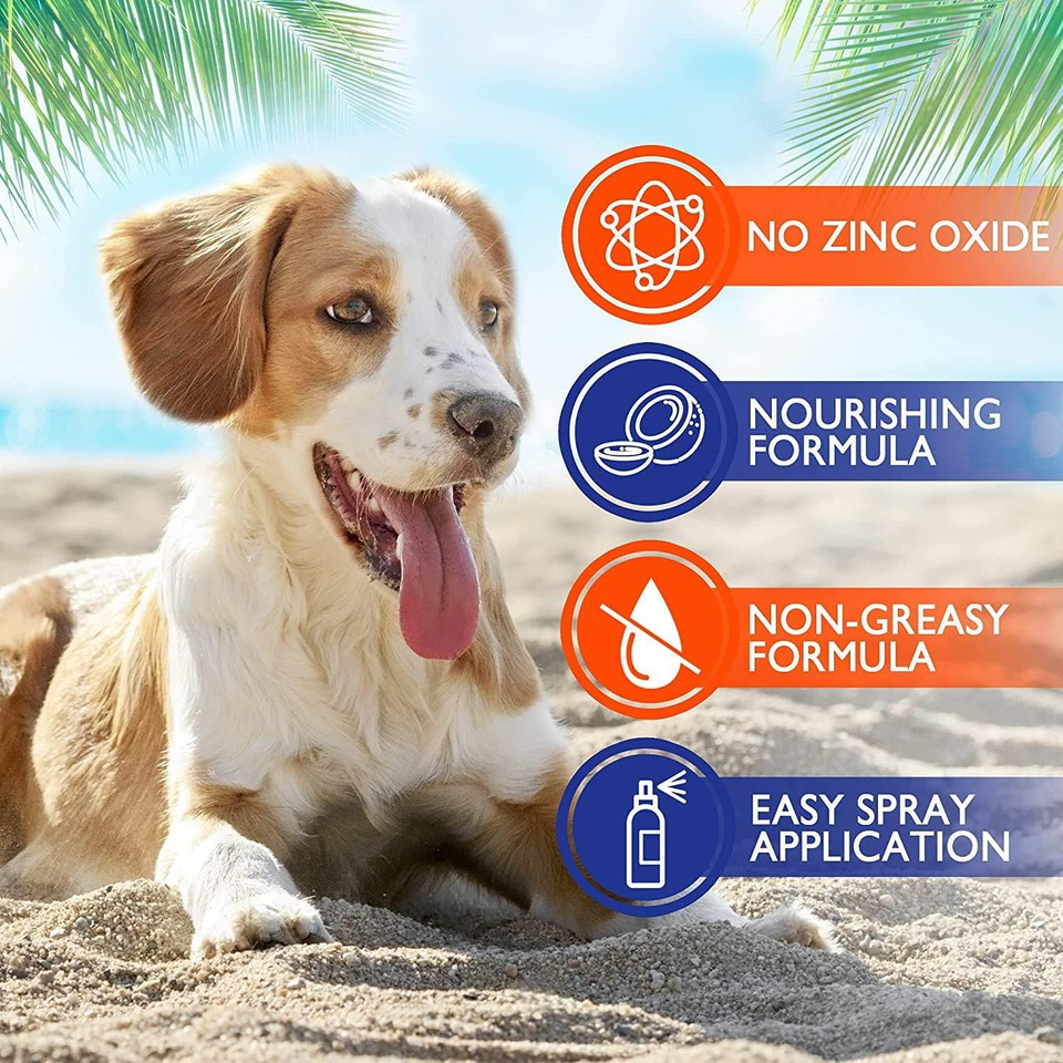 Ebpp Dog Sunscreen Sun Skin Protector Spray 8 Oz - Safe For All Breeds With No Zinc Oxide - Pet Protection And Moisturizer For Skin, Coat, Nose, Ears