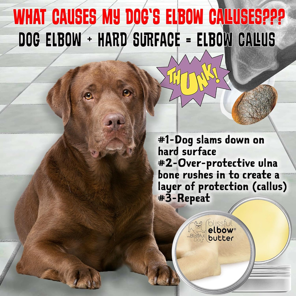 The Blissful Dog Elbow Butter Moisturizes Your Dog'S Elbow Calluses - Dog Balm, 1-Ounce