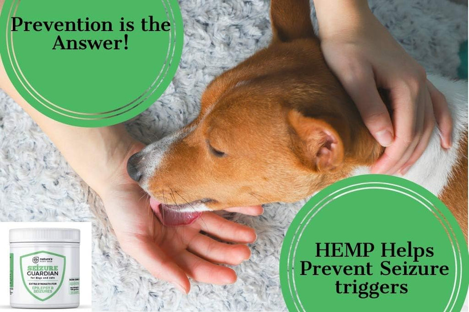 Seizure Support And Calming Aid For Dogs And Cats - All Natural Epilepsy And Seizure Aid. Hemp, Ashwagandha, Blue Vervain, Valerian, L-Tryptophan, L-Taurine, Chamomile, Milk Thistle, Turmeric