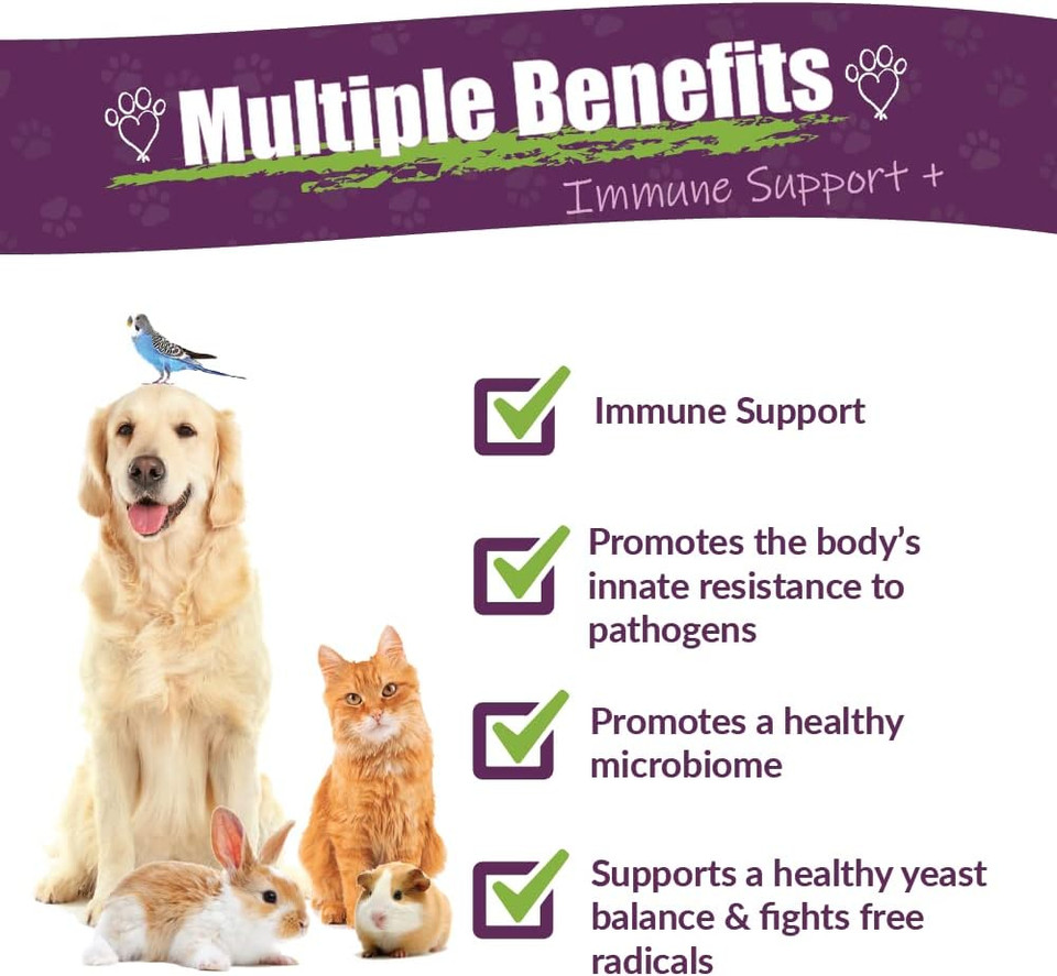 Amber Naturalz Vibactra Plus Herbal Supplement For Dogs, Cats, Birds, Guinea Pigs, And Rabbits | Herbs For Immune Health And Yeast Balance | 4 Fluid Ounce Glass Bottle | Manufactured In The Usa