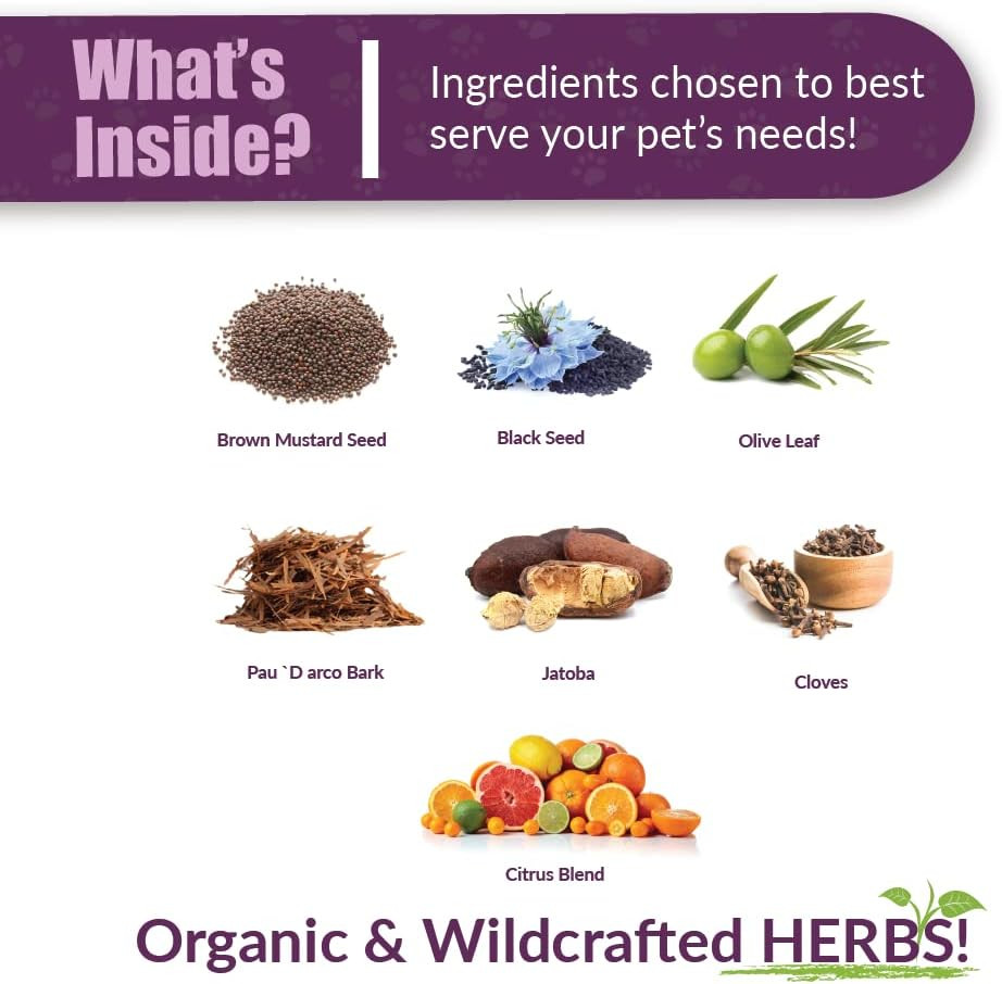 Amber Naturalz Vibactra Plus Herbal Supplement For Dogs, Cats, Birds, Guinea Pigs, And Rabbits | Herbs For Immune Health And Yeast Balance | 4 Fluid Ounce Glass Bottle | Manufactured In The Usa