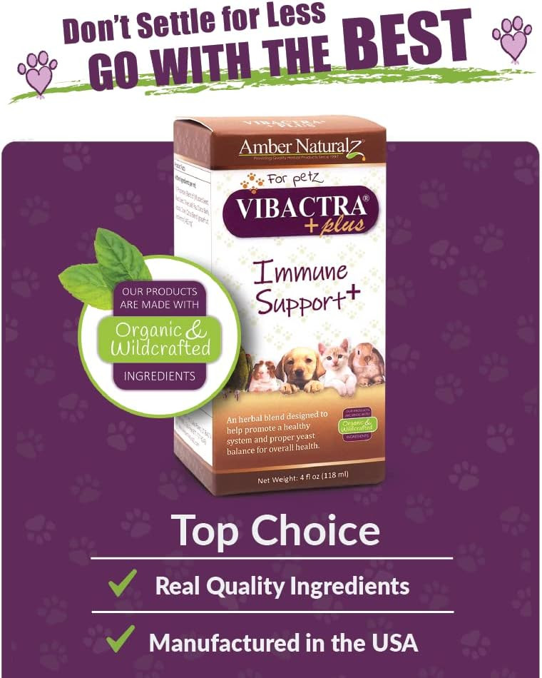 Amber Naturalz Vibactra Plus Herbal Supplement For Dogs, Cats, Birds, Guinea Pigs, And Rabbits | Herbs For Immune Health And Yeast Balance | 4 Fluid Ounce Glass Bottle | Manufactured In The Usa