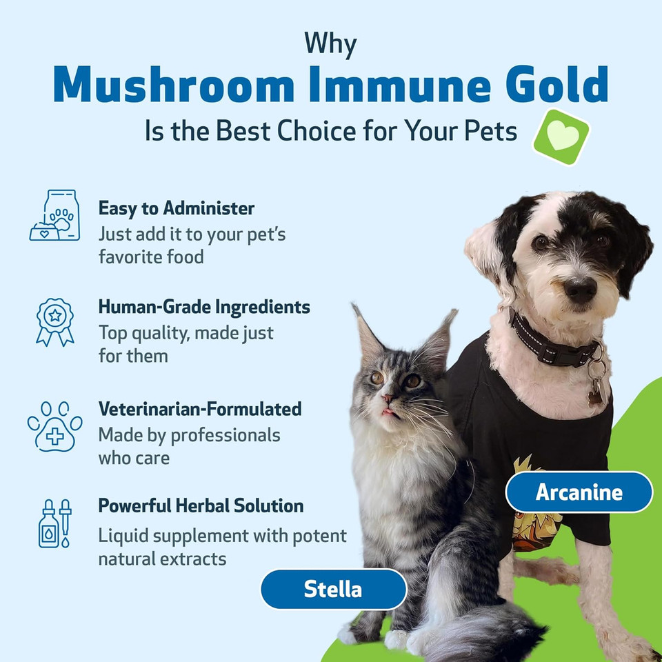 Pet Wellbeing - Mushroom Immune Gold - Natural Alternative Immune Support For Dogs And Cats - 8Oz (237Ml)